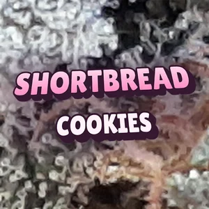 Shortbread Cookies Cannabis Strain
