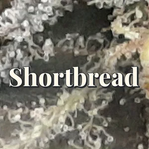Shortbread Cannabis Strain