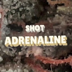 Shot Adrenaline Cannabis Strain