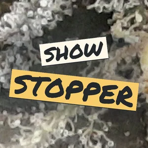 Show Stopper Cannabis Strain
