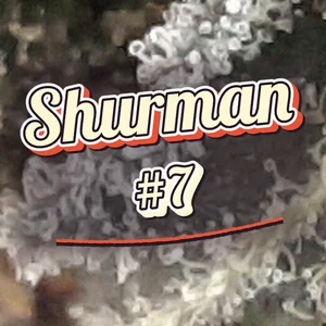 Shurman #7 Cannabis Strain