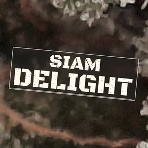 Siam Delight Cannabis Strain