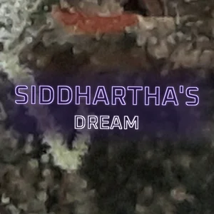 Siddhartha's Dream Cannabis Strain