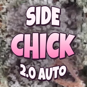 Side Chick 2.0 Auto Cannabis Strain