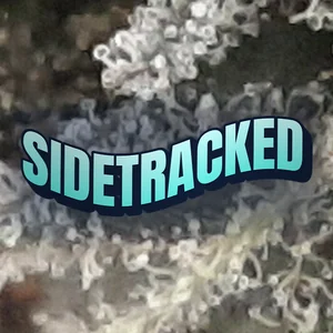 Sidetracked Cannabis Strain