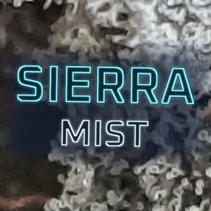 Sierra Mist Cannabis Strain
