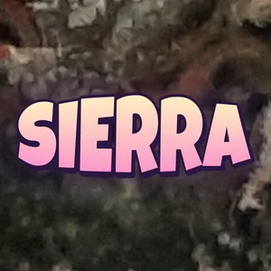 Sierra Cannabis Strain