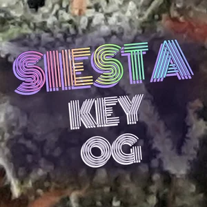 Siesta Key OG Cannabis Strain
