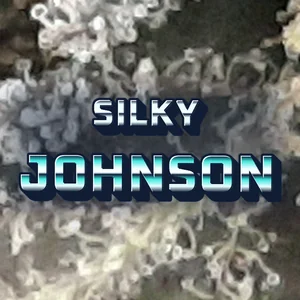 Silky Johnson Cannabis Strain