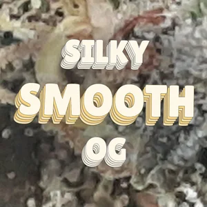 Silky Smooth OG Cannabis Strain