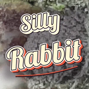 Silly Rabbit Cannabis Strain