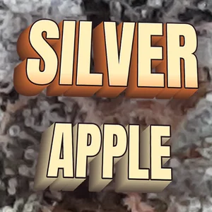 Silver Apple Cannabis Strain