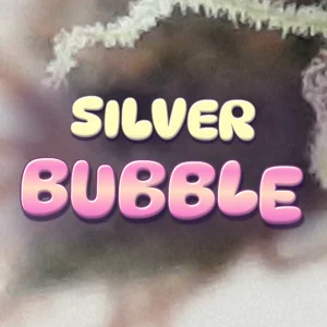 Silver Bubble Cannabis Strain
