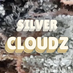 Silver Cloudz Cannabis Strain