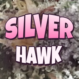 Silver Hawk Cannabis Strain