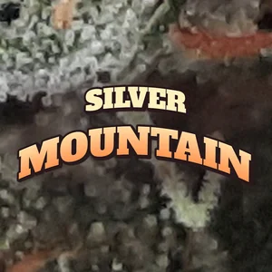 Silver Mountain Cannabis Strain
