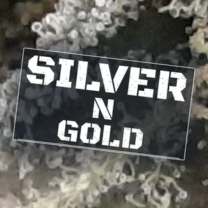 Silver n Gold Cannabis Strain