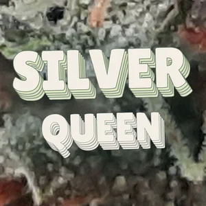 Silver Queen Cannabis Strain