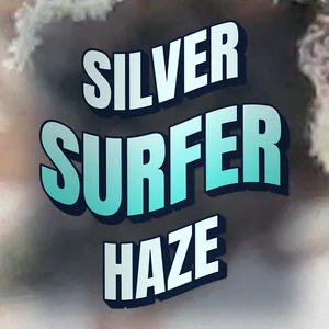 Silver Surfer Haze Cannabis Strain