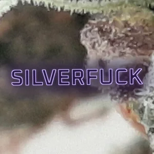 Silverfuck Cannabis Strain