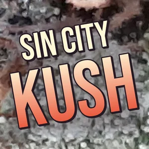 Sin City Kush Cannabis Strain