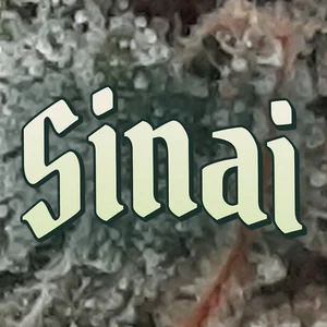 Sinai Cannabis Strain