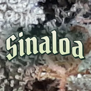 Sinaloa Cannabis Strain