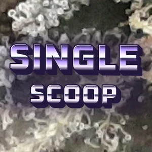 Single Scoop Cannabis Strain