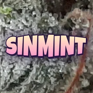SinMint Cannabis Strain