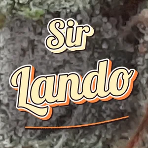 Sir Lando Cannabis Strain