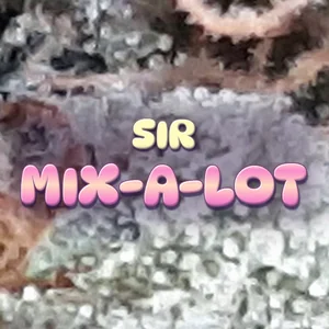 Sir Mix-a-Lot Cannabis Strain