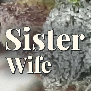 Sister Wife Cannabis Strain