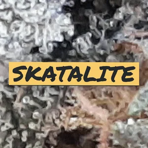 Skatalite Cannabis Strain
