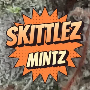 Skittlez Mintz Cannabis Strain