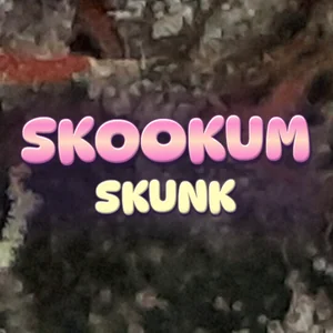 Skookum Skunk Cannabis Strain