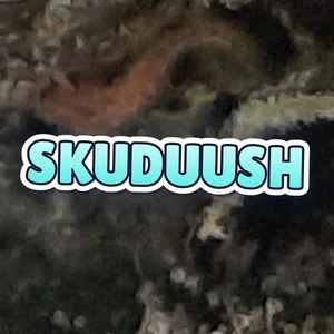 Skuduush Cannabis Strain