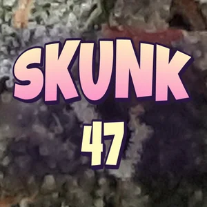 Skunk 47 Cannabis Strain