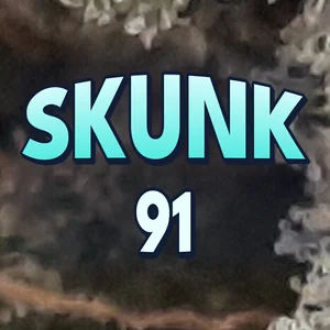 Skunk 91 Cannabis Strain