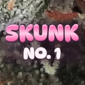 Skunk No. 1 Cannabis Strain