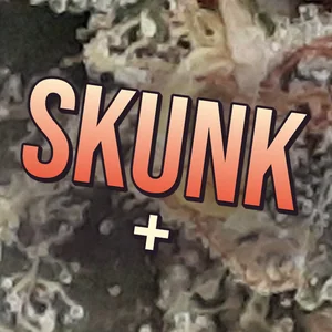 Skunk + Cannabis Strain