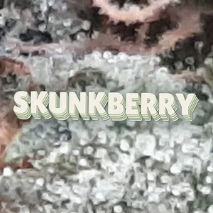 Skunkberry Cannabis Strain