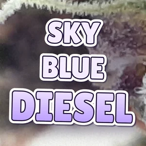 Sky Blue Diesel Cannabis Strain