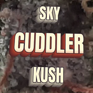 Sky Cuddler Kush Cannabis Strain