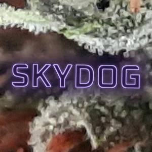 Skydog Cannabis Strain