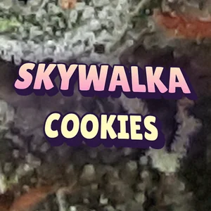 Skywalka Cookies Cannabis Strain