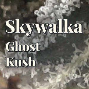 Skywalka Ghost Kush Cannabis Strain