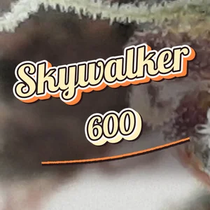 Skywalker 600 Cannabis Strain