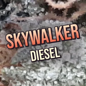 Skywalker Diesel Cannabis Strain
