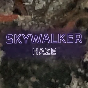 Skywalker Haze Cannabis Strain