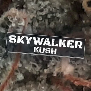 Skywalker Kush Cannabis Strain